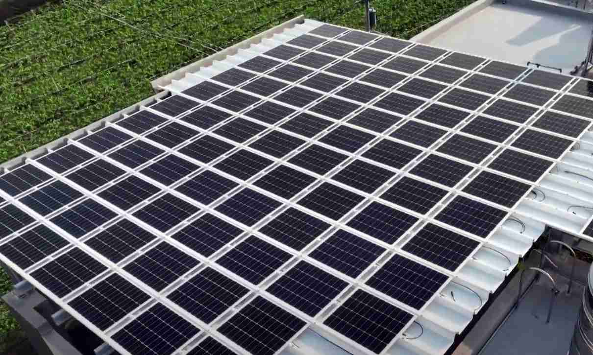 人生就是博SunSteel光电浪板升级双玻结构，，，，以提升机械负载强度及气候耐候度，，，可广泛运用于多元场域